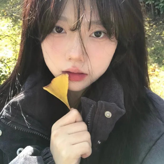 功夫小子