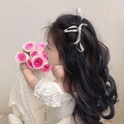 赤色追击